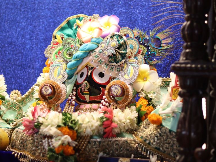 Daily Darshan(18th Nov 2025)