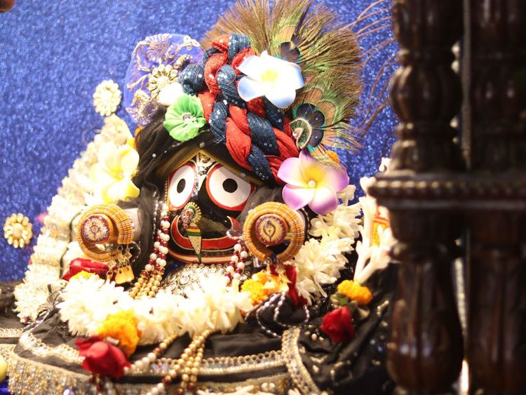 Daily Darshan(22th Nov 2025)