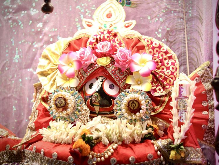 Special Ekadashi Darshan(15th Nov 2025)
