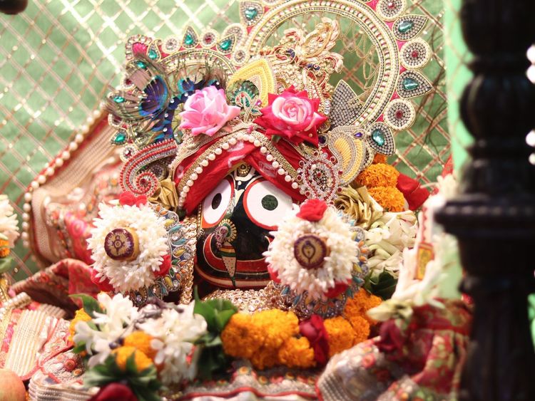 Daily Darshan(23th Nov 2025)