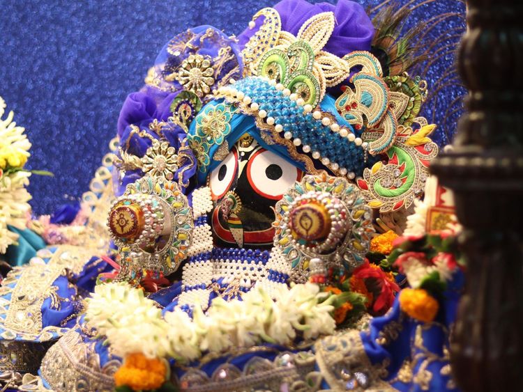 Daily Darshan(16th Nov 2025)