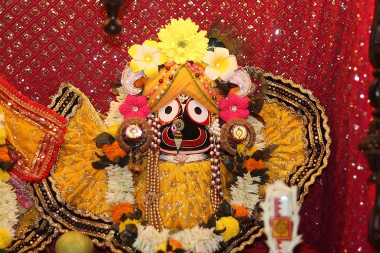 Daily Darshan(24 June 2026)