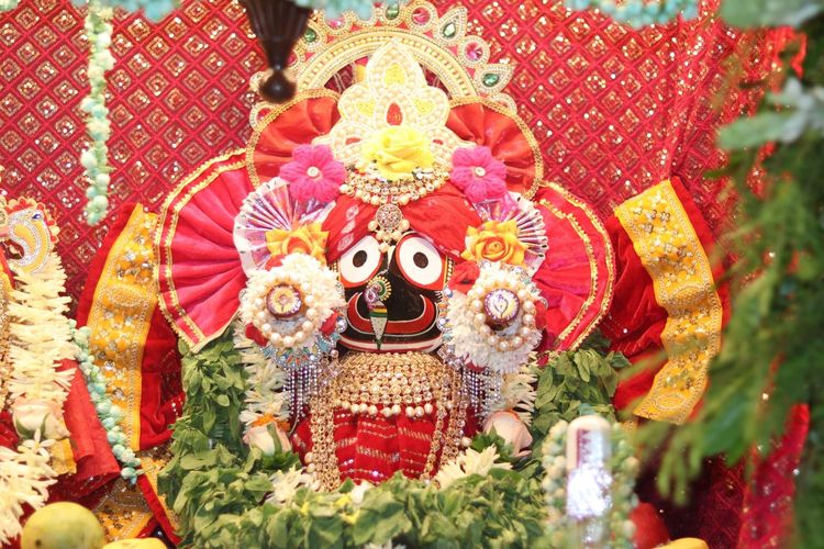 Special Ekadashi Darshan(26th Jun 2026)