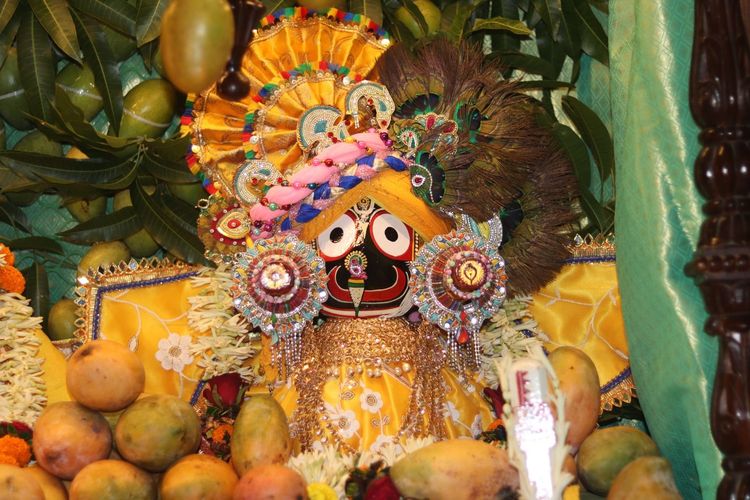 Snan Yatra and Mango Festival Darshan
